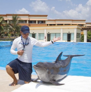  Dolphin trainer for a day 